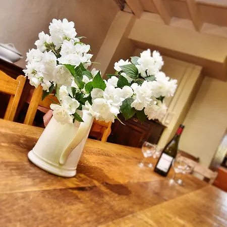 펜션 Tranquil In With Terrace